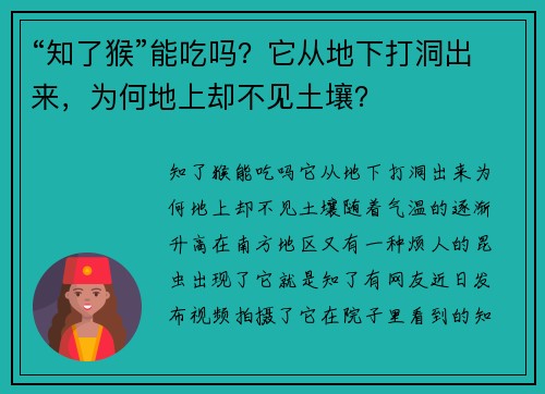 “知了猴”能吃吗？它从地下打洞出来，为何地上却不见土壤？